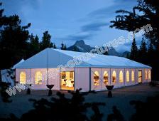 small canopy tent for events